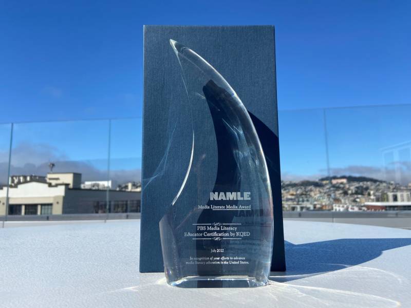 A photograph of the NAMLE Award plaque, taken outside under a blue sky