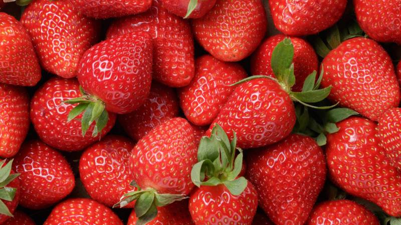 strawberry-good-for-increasing-resistance-in-the-time-of-coronavirus