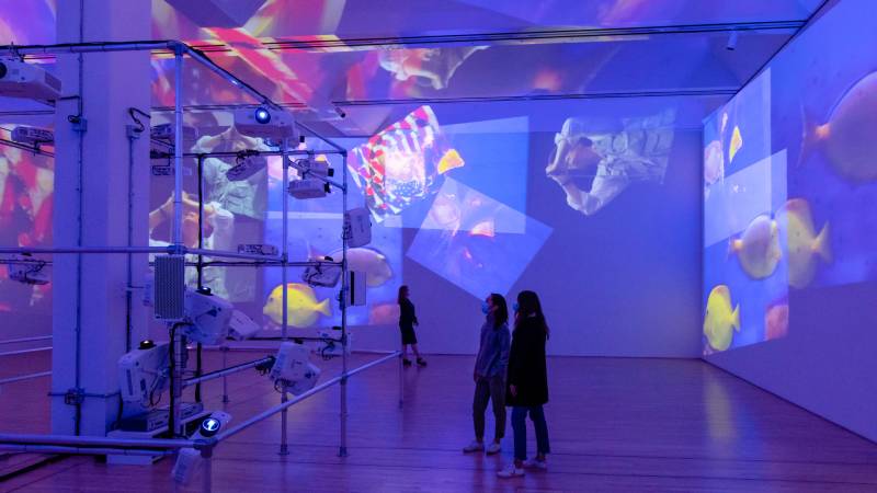 spectators (right) look at the projected images on the walls as emitted by projectors (left)