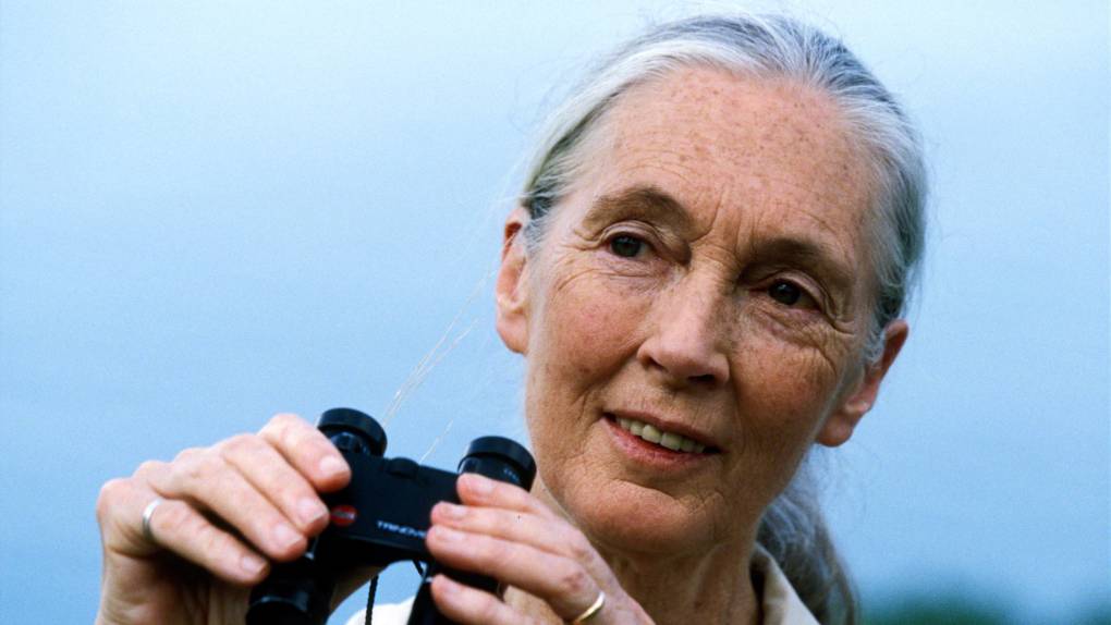 Jane Goodall holding binoculars