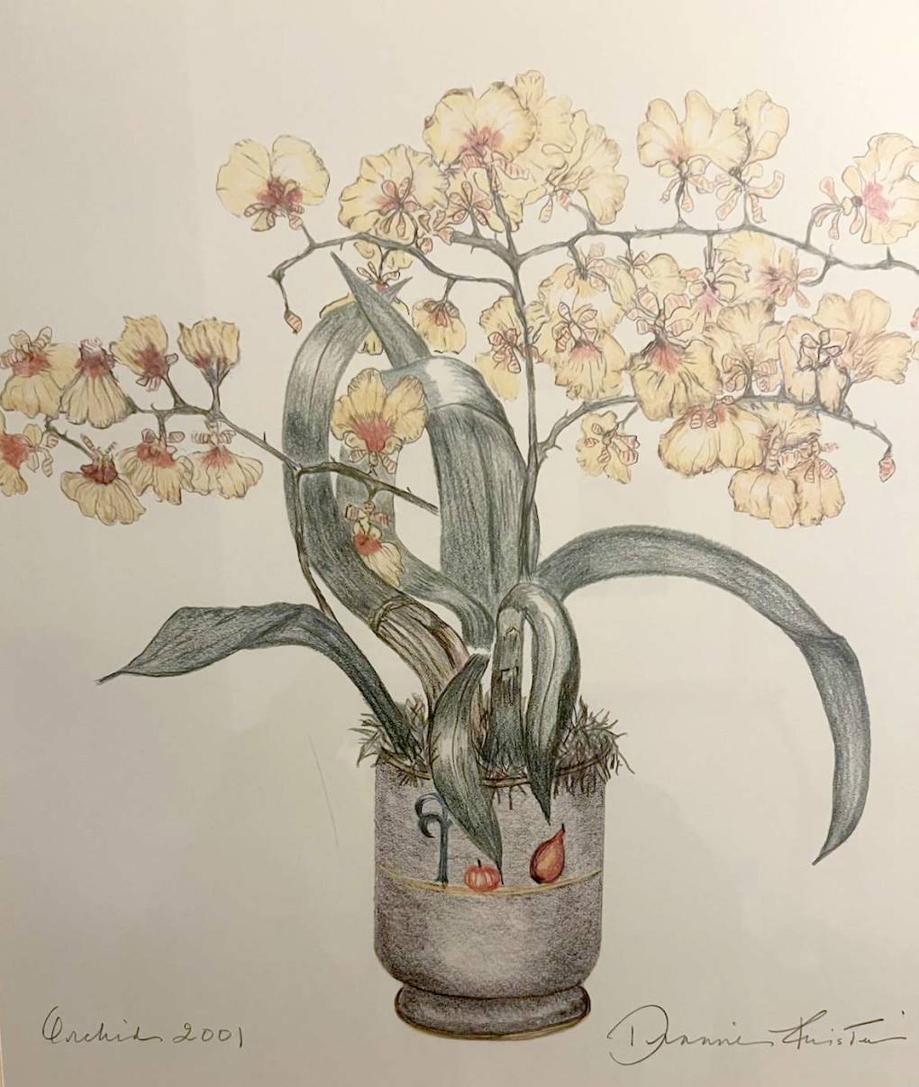 A drawing of orchids in a pot.