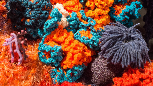 Detail of The Crochet Coral Reef, on view the Mary Porter Sesnon Art Gallery at UC Santa Cruz. The Crochet Coral Reef is a massive collection of individual works of art: corals, anemones, kelps, sponges, nudibranchs, flatworms and slugs, crocheted not just from yarn and thread, but from plastic bags, ties, can flip tops, videotape, ribbon, and tinsel. 