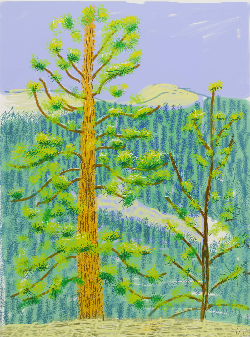 "Untitled No. 8" from The Yosemite Suite, 2010, by David Hockney.