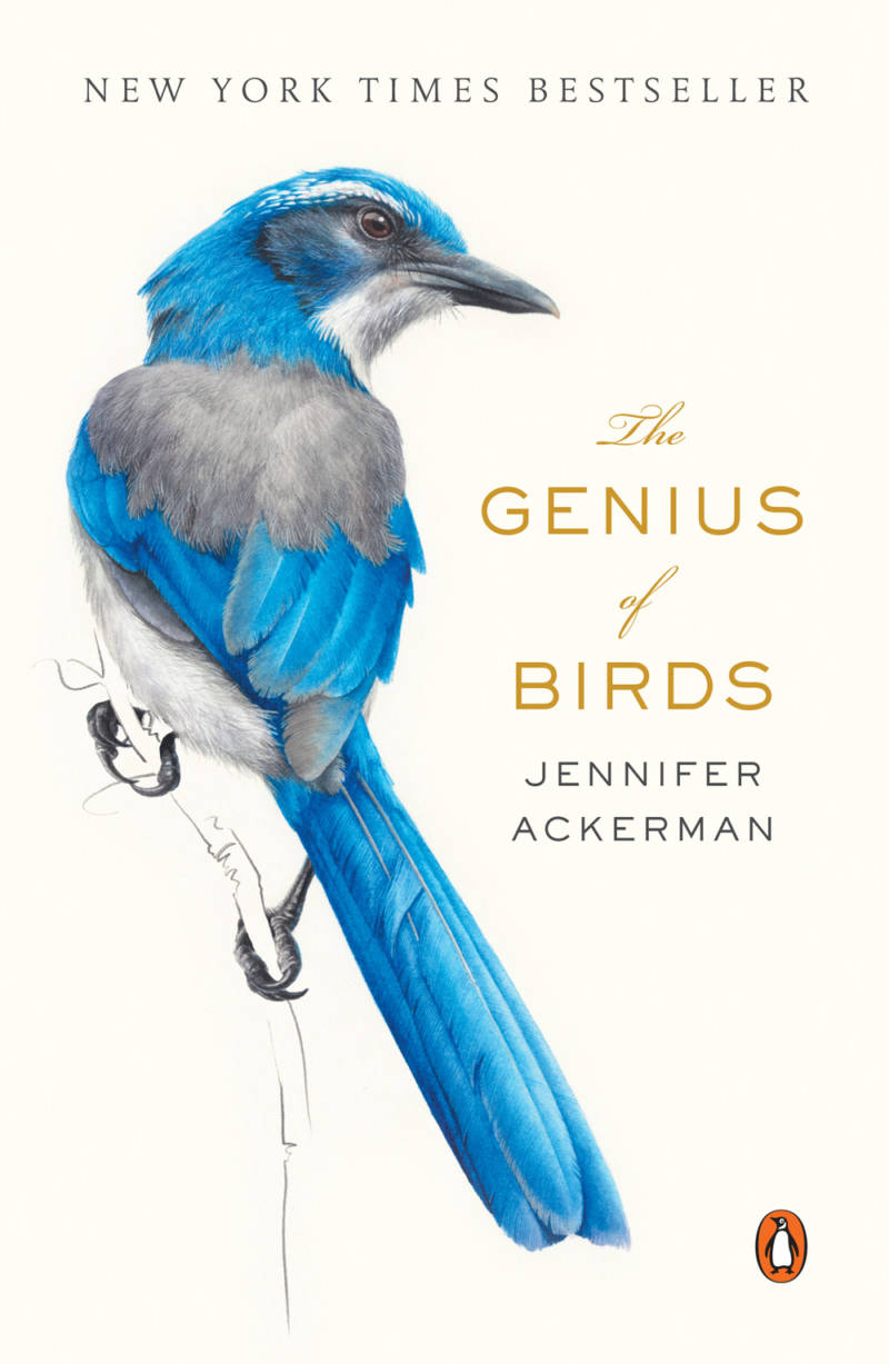 'The Genius of Birds' by Jennifer Ackerman