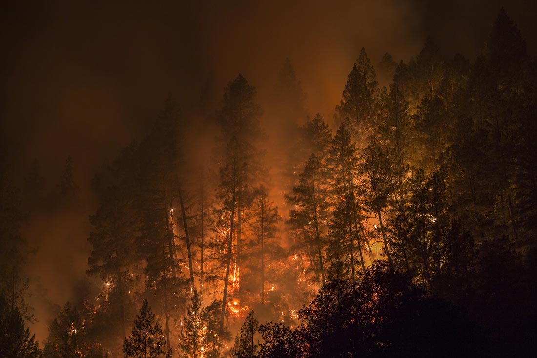 Wildfire rages through the trees on Oct. 8, 2017. 
