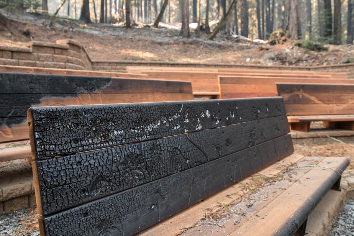 The charred edges of hand-carved benches at Redwood Grove theater, which was finished this summer after a multi-year fundraising campaign.