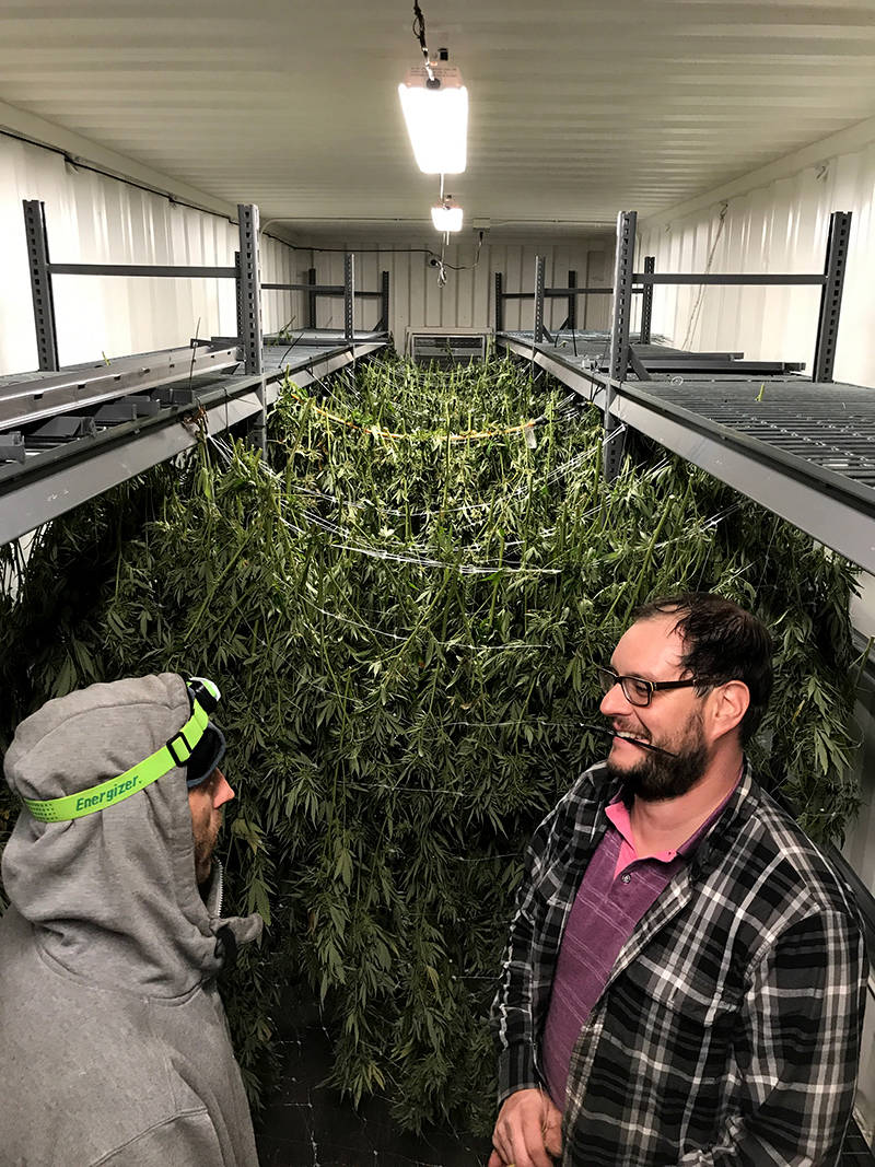 Pietrangeli (right) and grower Chris Leenhouts worked around the clock transferring their harvest to containers at Harborside's farm in the Salinas Valley.
