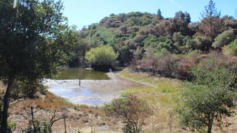 The pond in the old pumice quarry at Rainey's property.