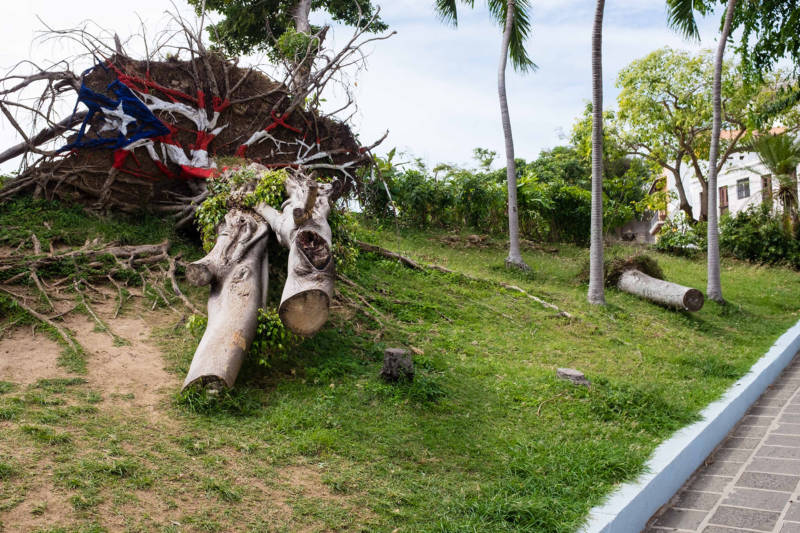 ): A toppled tree in Old San Juan that’s been painted with the Puerto Rican flag. Signs of storm damage are evident across the island, including the island’s capital.