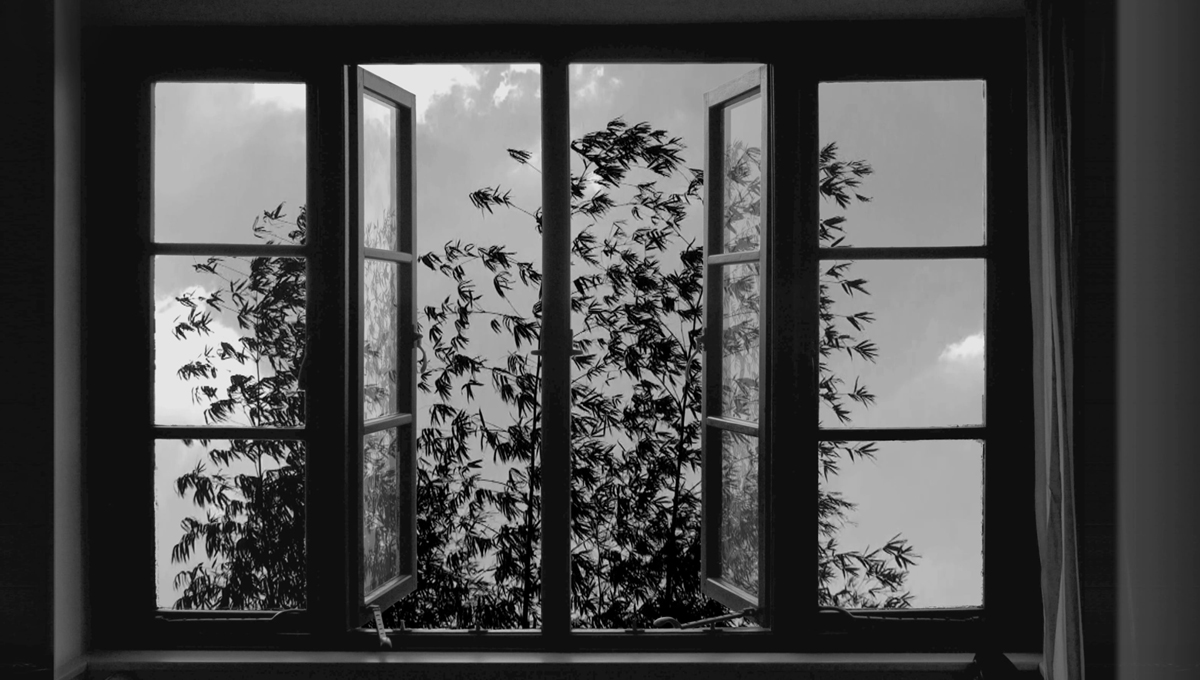 Still from Abbas Kiarostami's '24 Frames,' 2017.