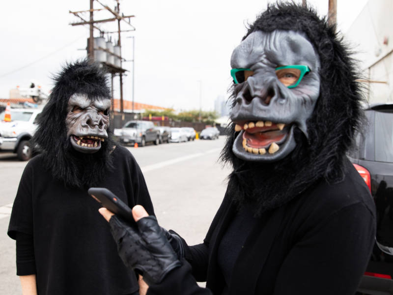 The Guerrilla Girls got the idea to hide their faces with gorilla masks after one of them misspelled "guerrilla" in a doodle.
