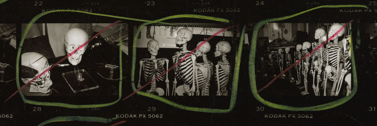 Andy Warhol, detail from 'Contact Sheet [Stuart Pivar with skulls and skeletons at anatomical model showroom (?)]', 1986. 