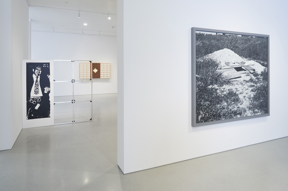 Installation view of 'Laws of Motion,' with work by Cady Noland, Anicka Yi, and Jeff Wall.