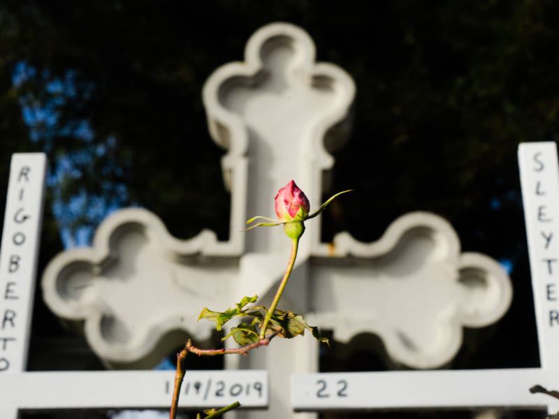 Crosses erected at a local church for every homicide victim in Oakland, Calif.
