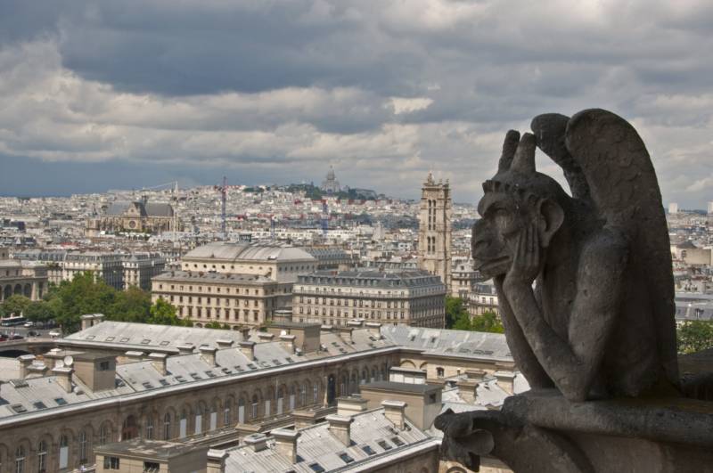 A gargoyle of the Notre Dame Cathedral is seen on July 8, 2014 in Paris.