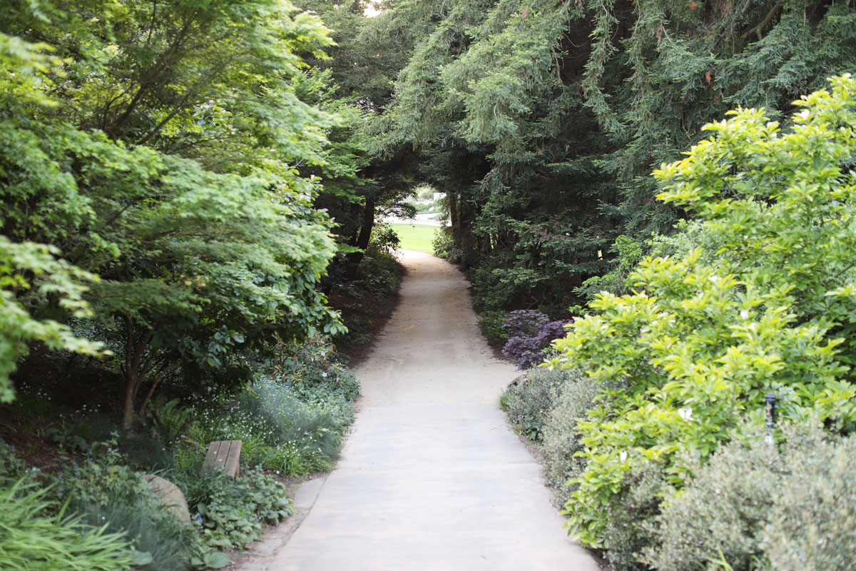 A path into the AIDS Memorial Grove.