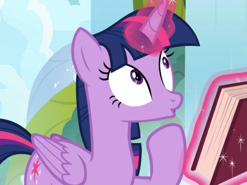 Many fans identify with the earnest, slightly neurotic Twilight Sparkle.