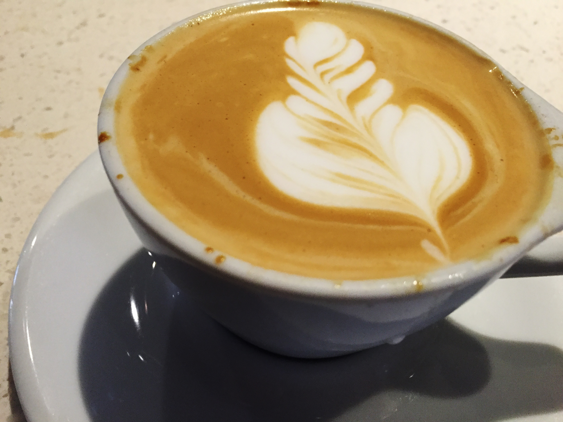 Bay Area Bites Guide: Five Third-Wave Coffee Shops in San Francisco | KQED
