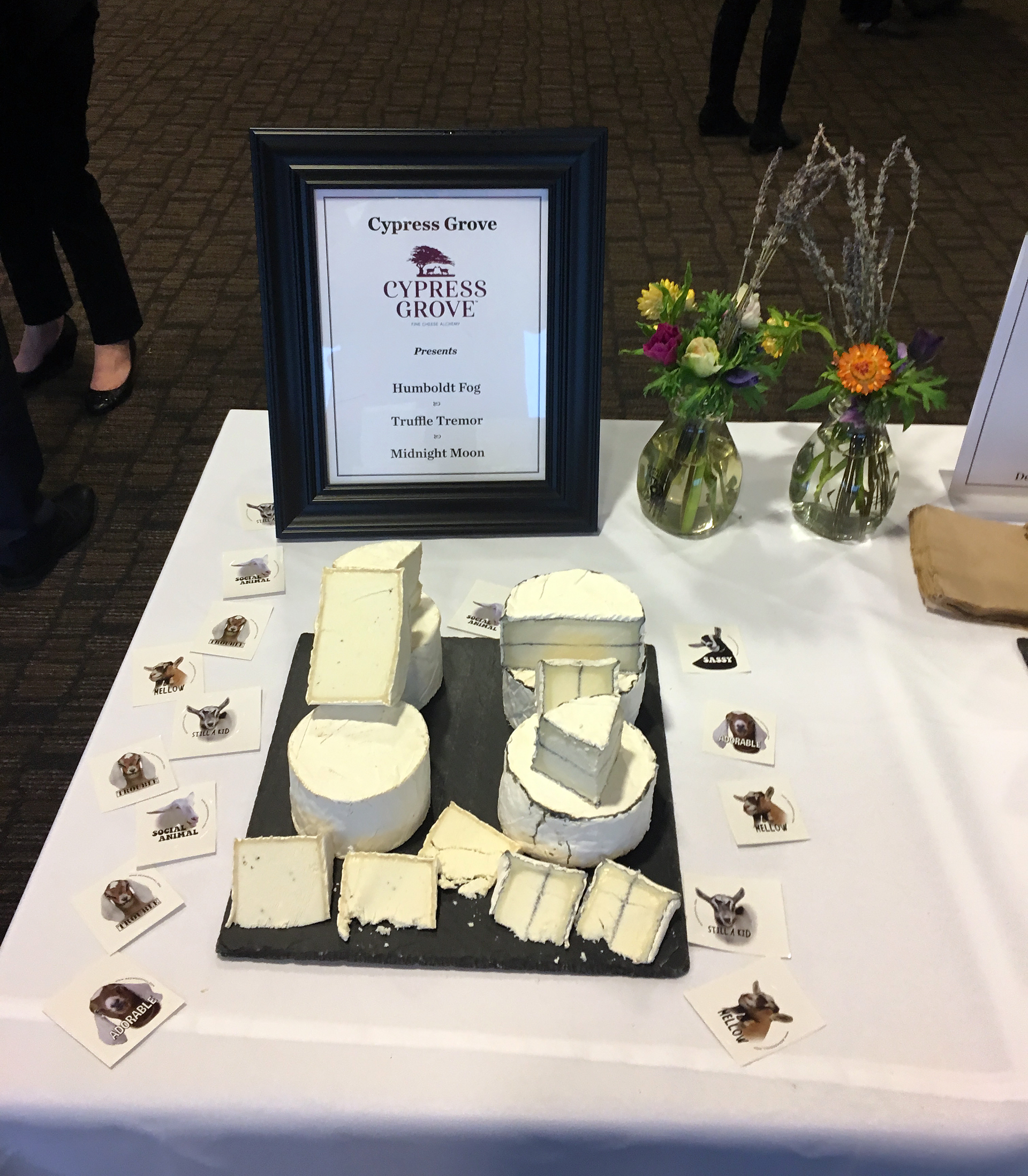 Cypress Grove Cheese: A display of 3 cheeses from Cypress Grove