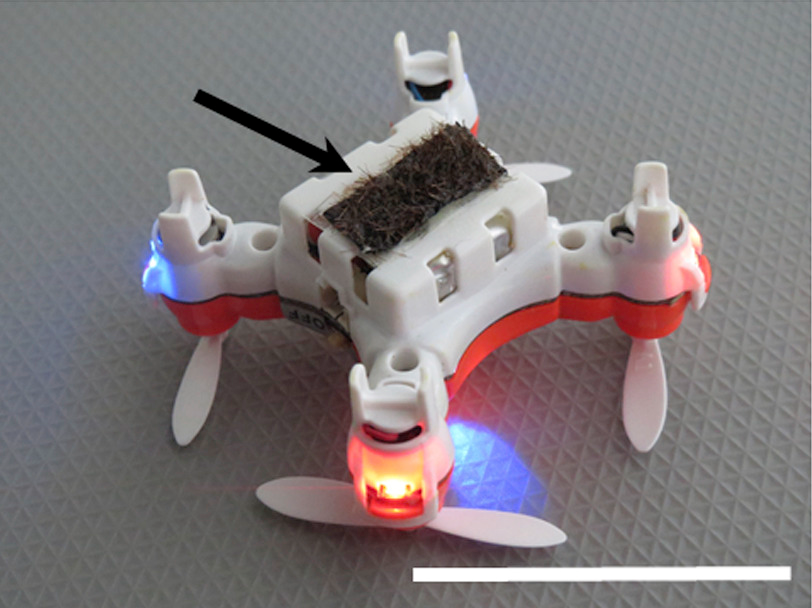 The insect-sized drones use horse hairs coated with ionic liquid gel to mimic the fuzzy exterior of bees and provide an electric charge to keep the grains attached.