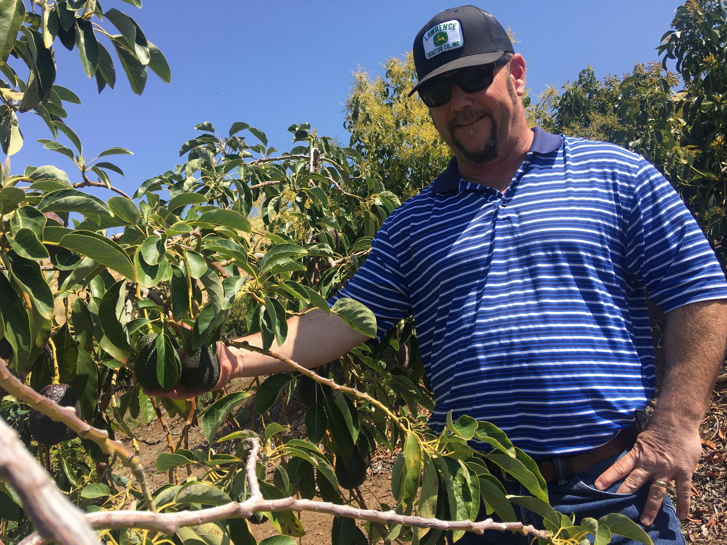 Jon Stearns says that as an avocado grower, he hopes new varieties come on the market.