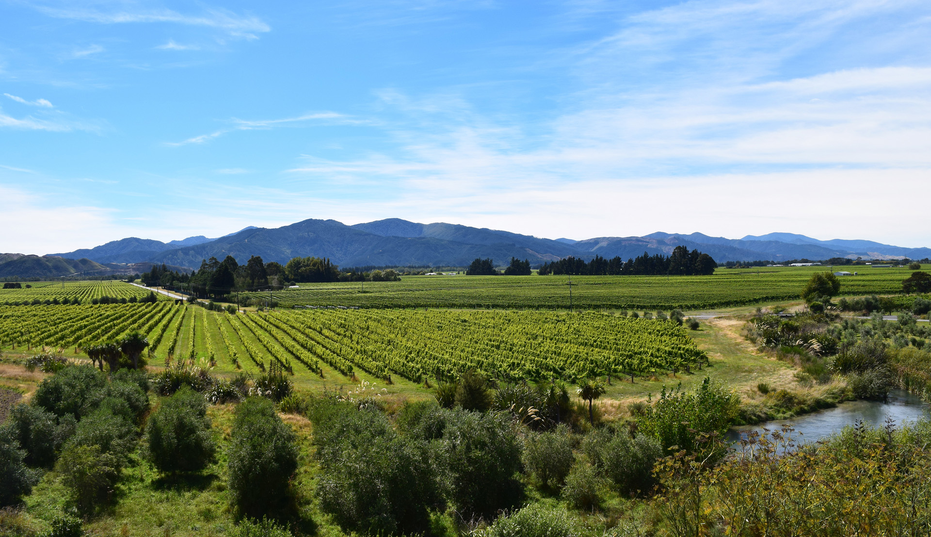 New Zealand's version of Napa Valley is the expansive Marlborough region, which produces 66% of the country's wine and is the home of famous Cloudy Bay.