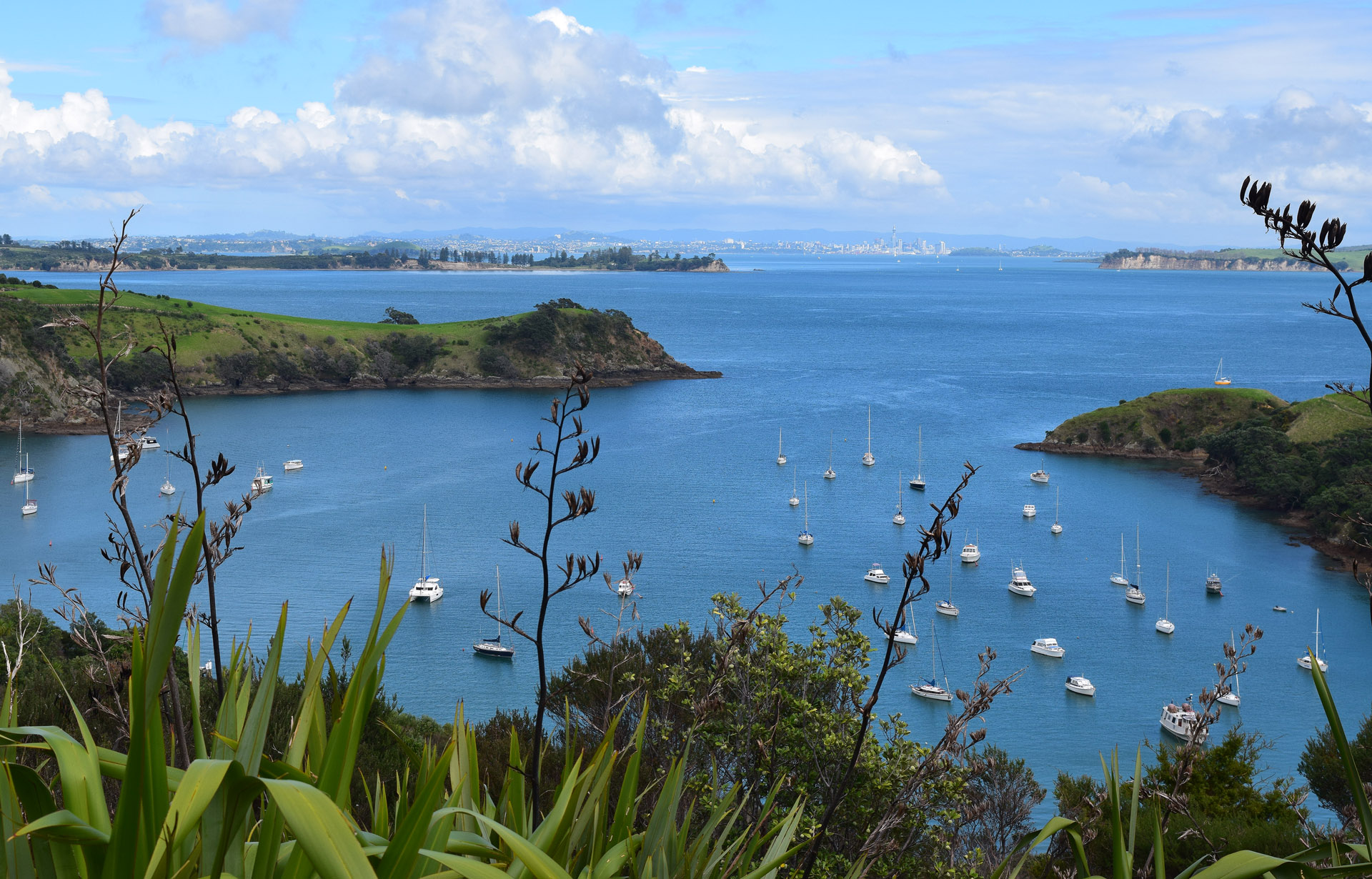 Terrific syrahs and Bordeaux blends are found on gorgeous Waiheke Island near Auckland, called "the island of wine" and popular with visitors who like to taste wine, dine, hike and bike.