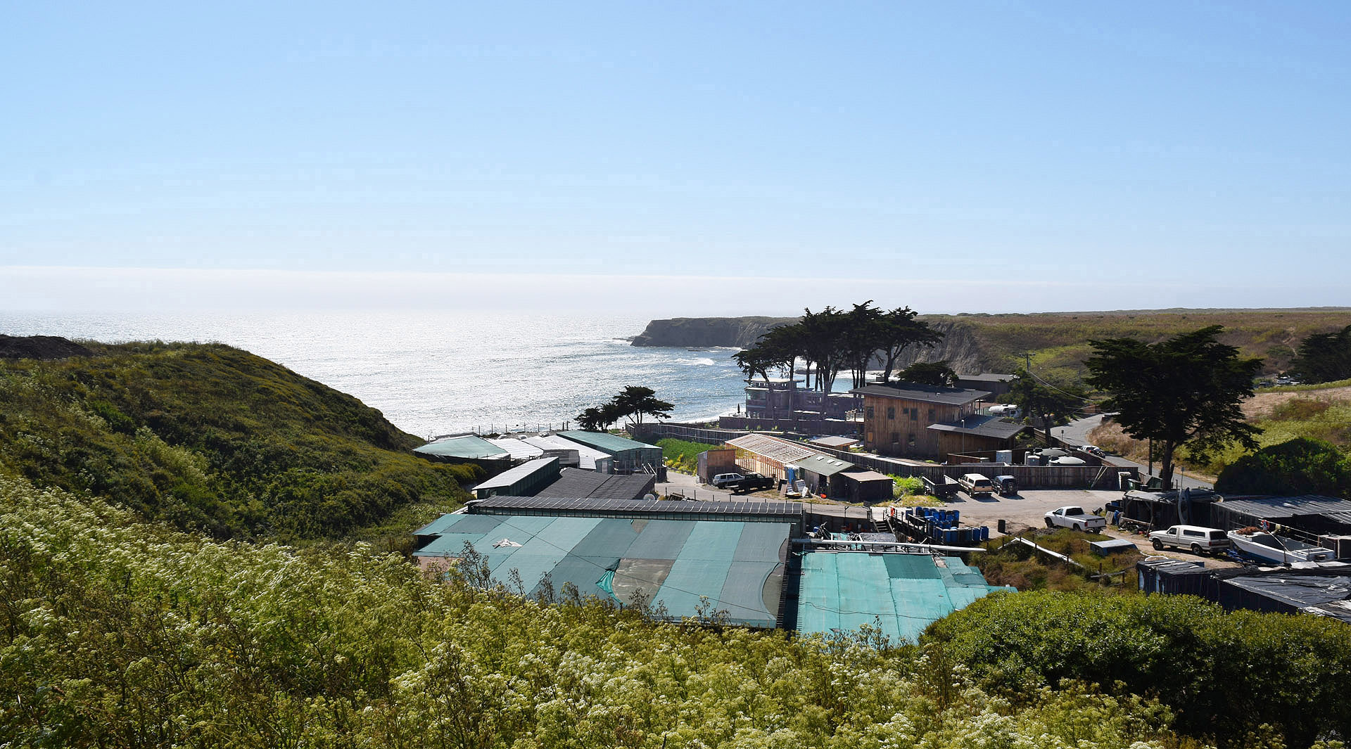American Abalone Farms is located on a picturesque cove near Santa Cruz, where visitors can buy and consume abalone and other local seafood on Saturdays.