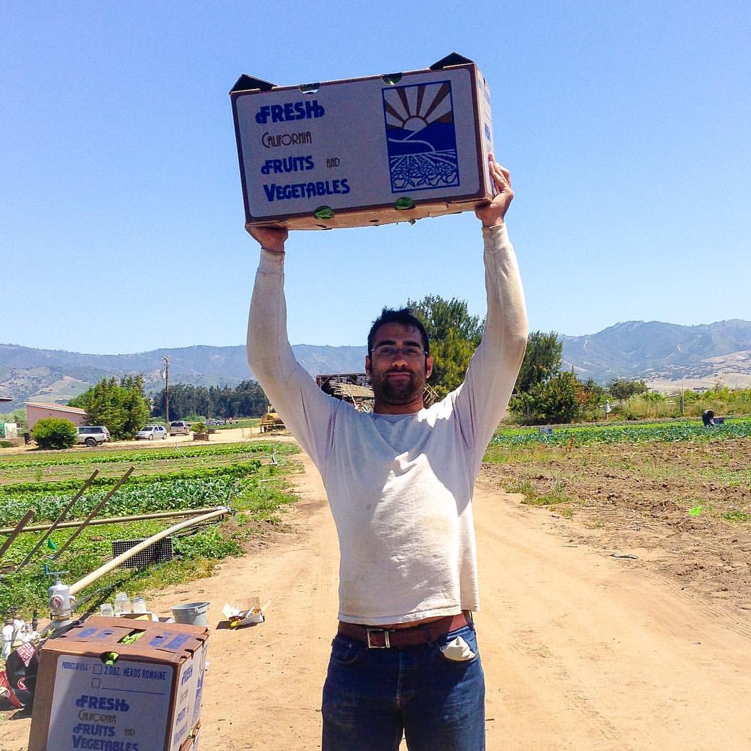 Matthew Loisel hoists some harvested produce at Lazy Millennial Farms.