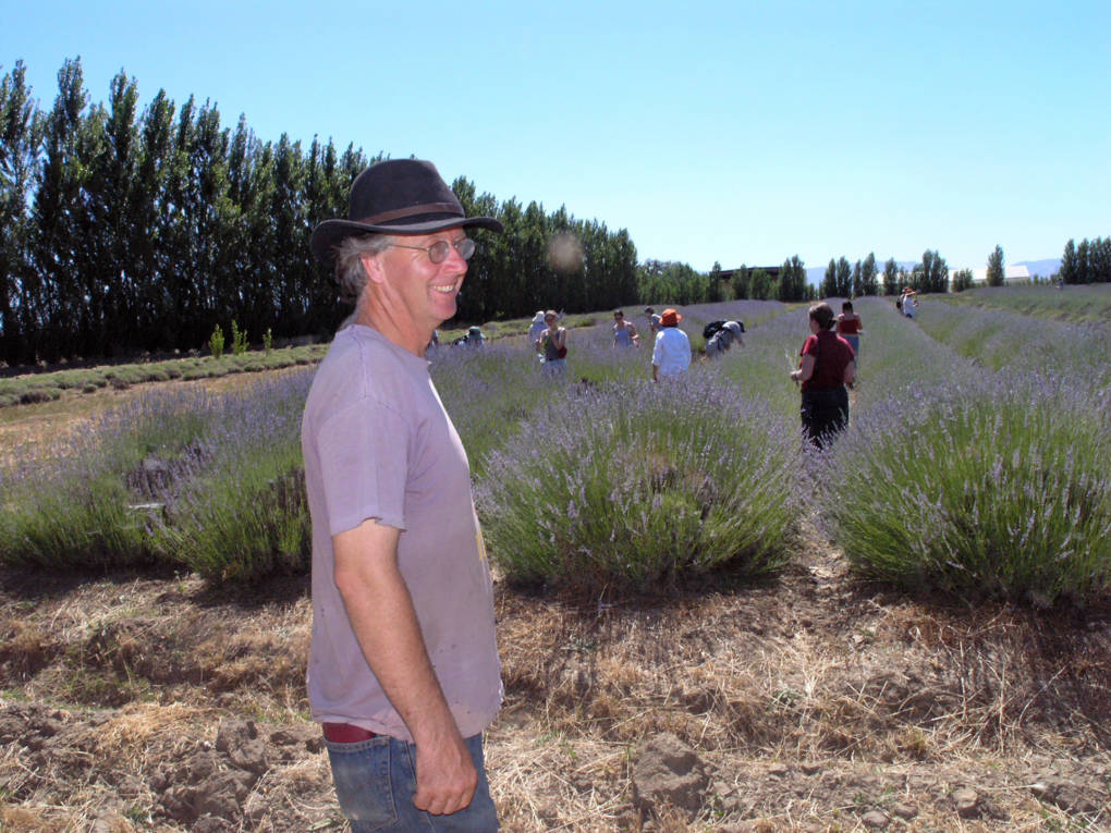 Walker surveys his lavender fields at Eatwell Farm.