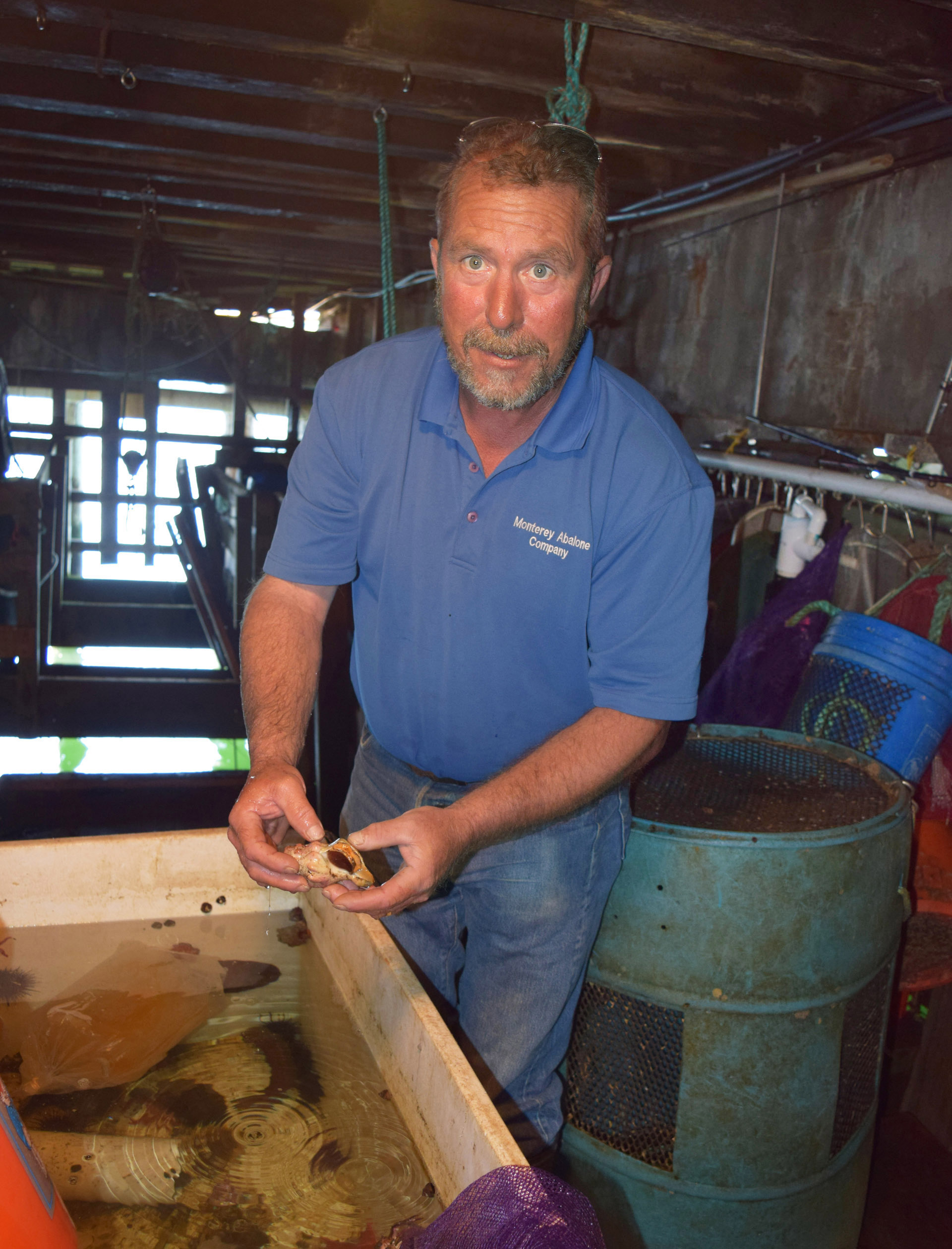 Trevor Fay and Monterey Abalone Company also have a business of gathering sea creatures that are used by clients for education and research purposes.