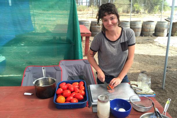 Tomato canning party at Eatwell Farm in Dixon. 