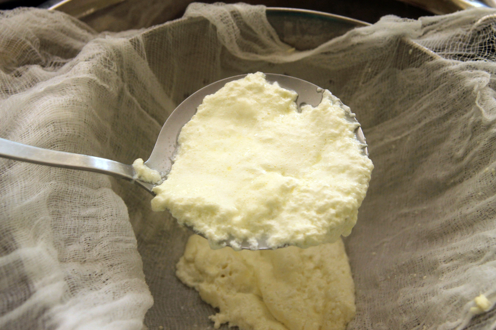 Scoop out the curds using a slotted spoon and let them drain in cheesecloth-lined strainer.