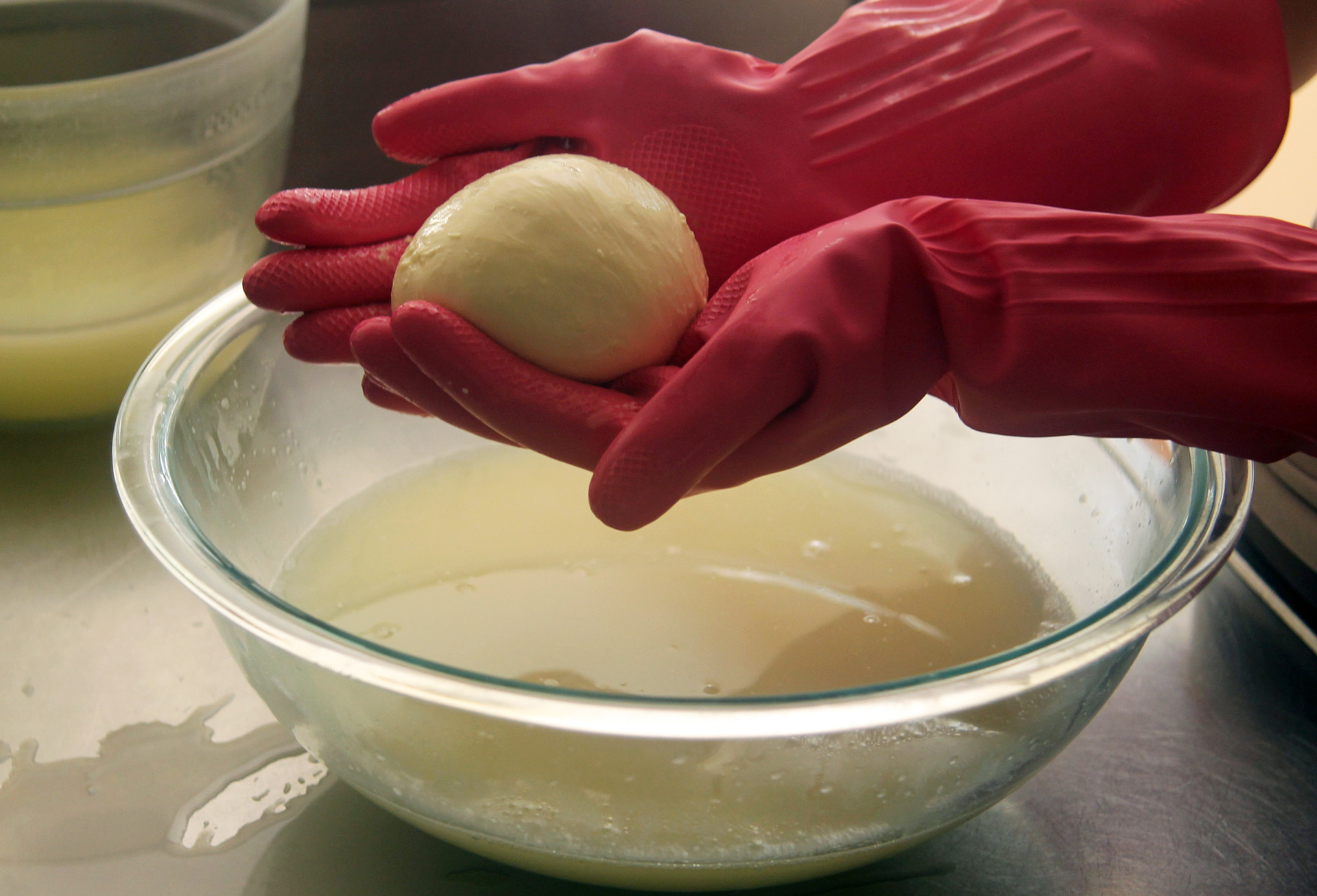Shape the curds into a taut round ball and place in the room temperature whey to set.