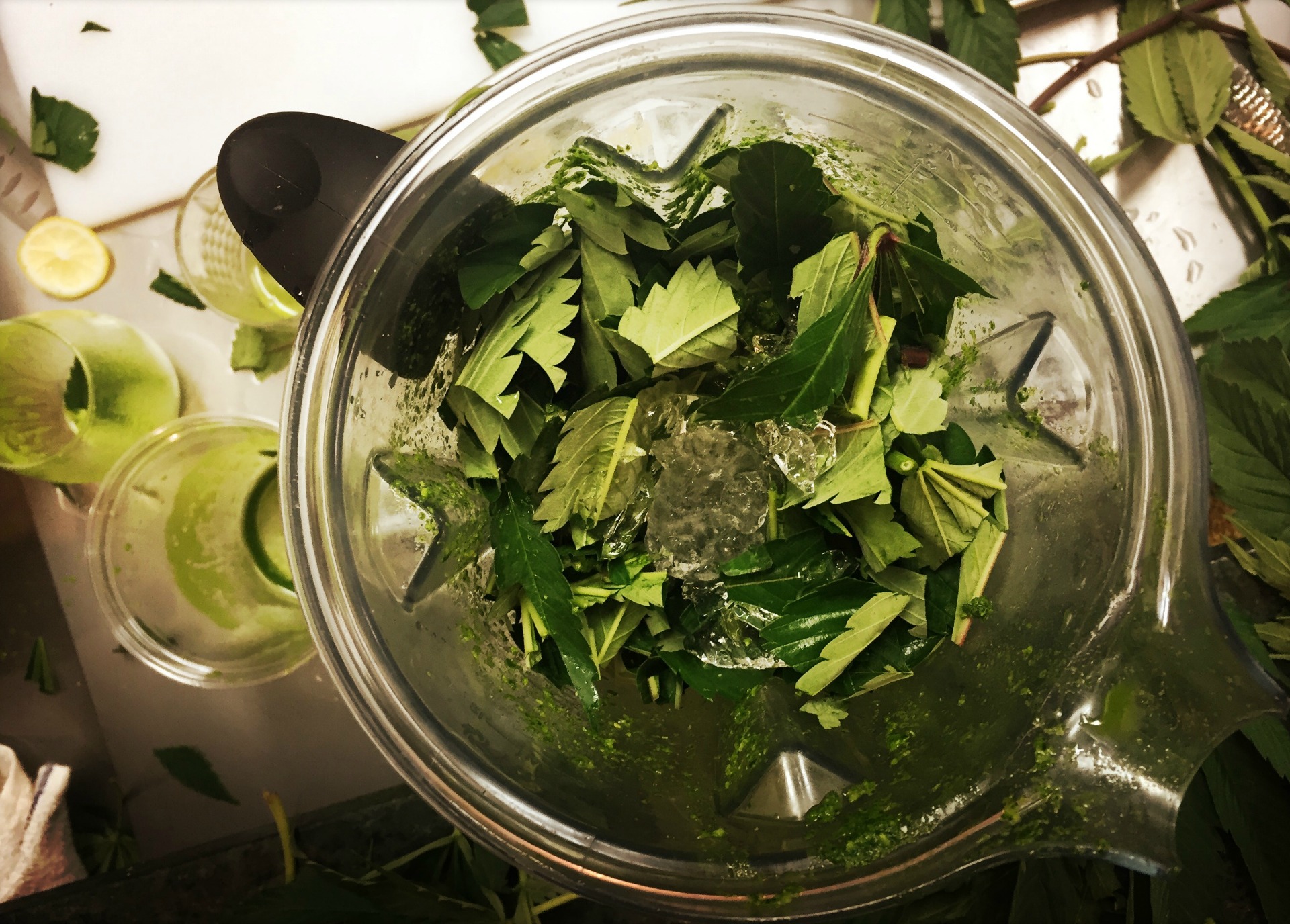 The preparation of one of Payton Curry's cannabis cocktails.