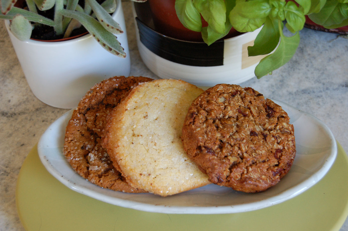 Firebrand Bakery's Ginger, Lemon Lavender and Oatmeal cookies