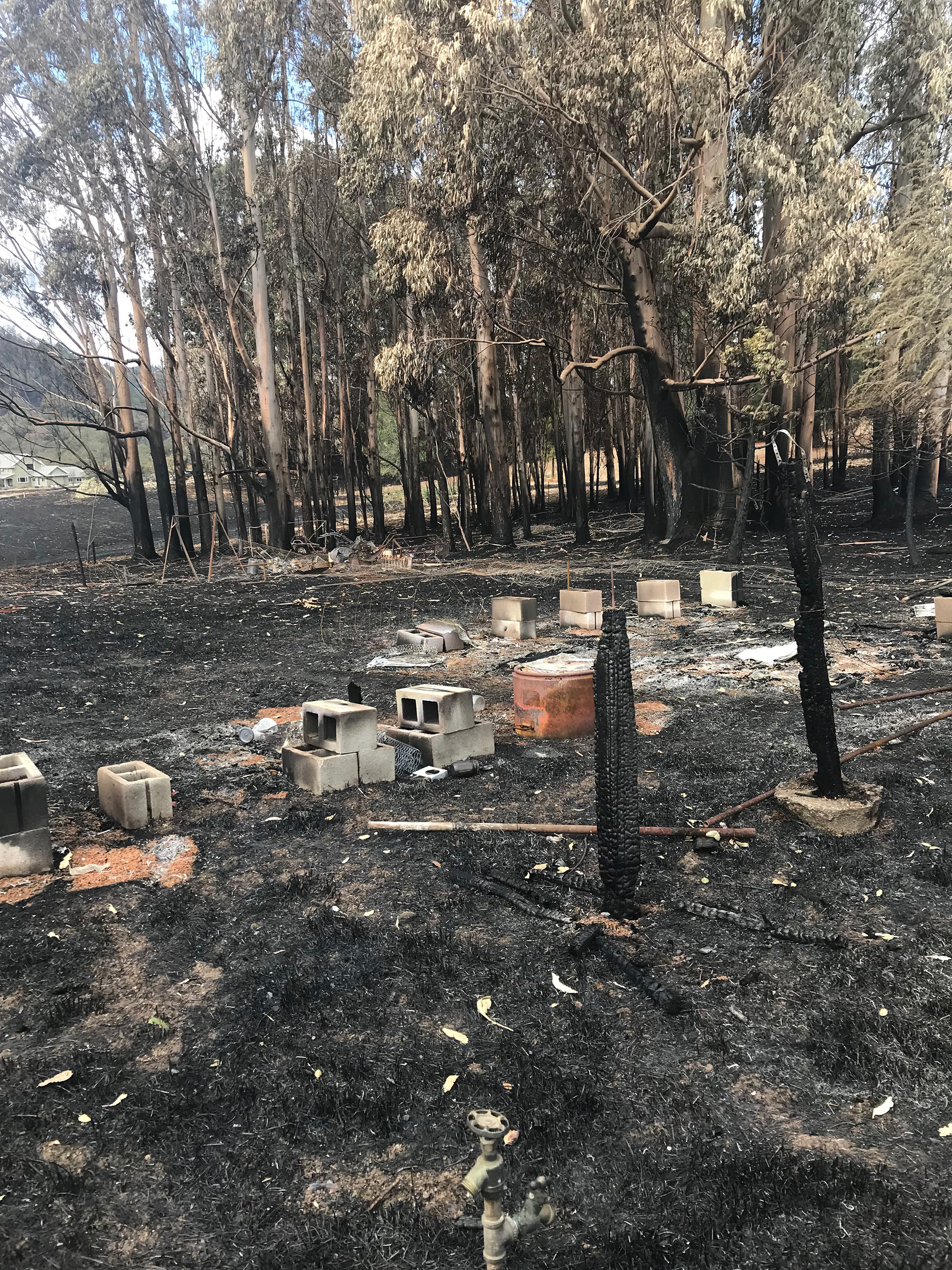 The post-fire remnants of Barker’s “pirate bee ships” on Suzy Fizell’s property in Santa Rosa.