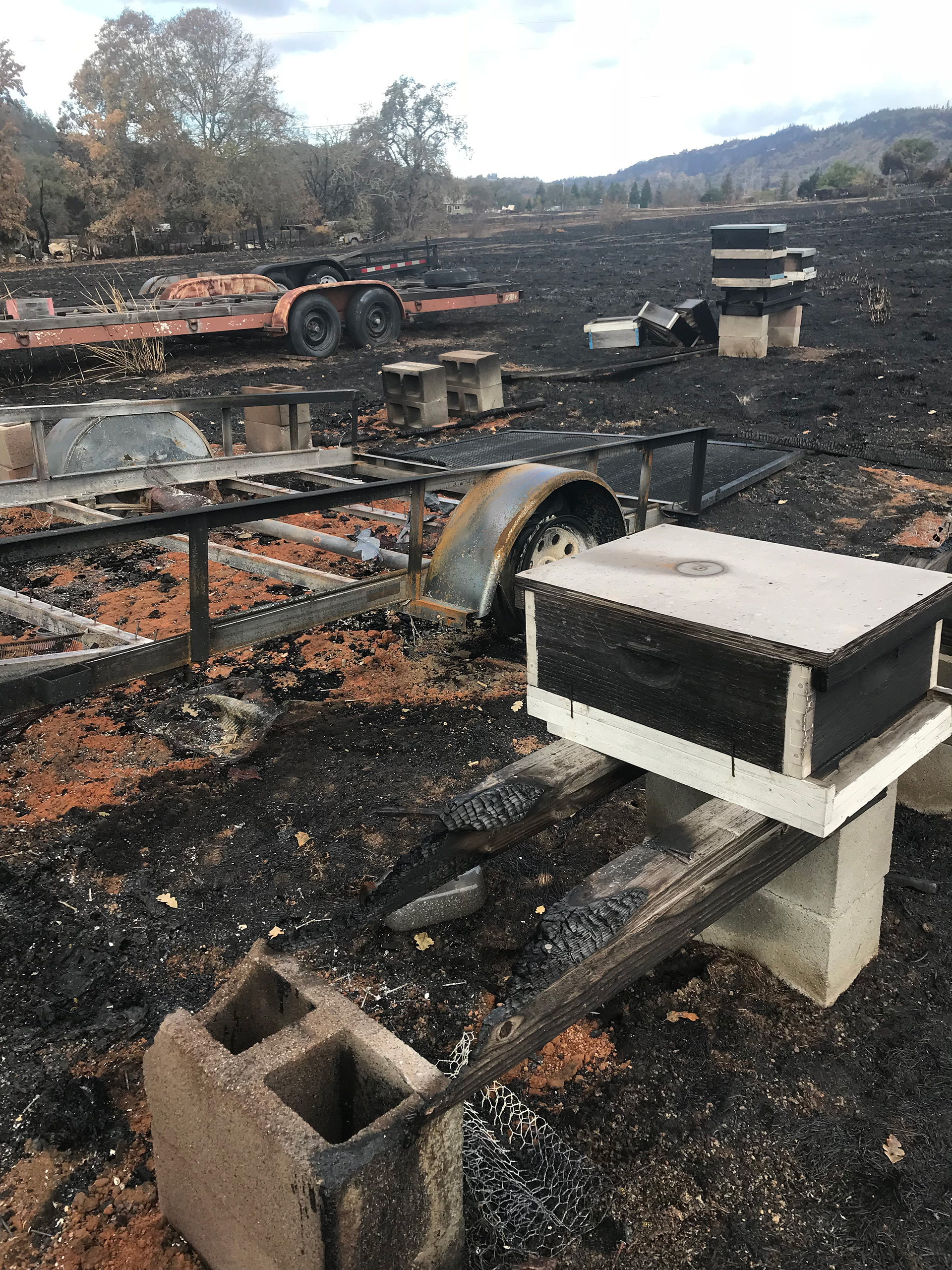 The post-fire remnants of Barker’s “pirate bee ships” on Suzy Fizell’s property in Santa Rosa.