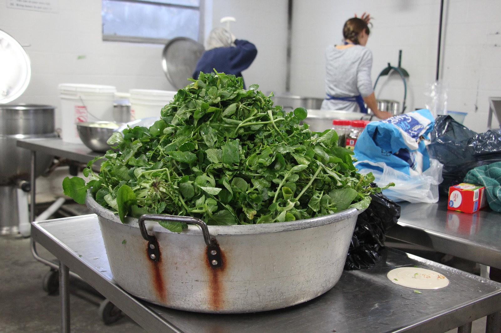 Rhonda Mayberry's creasy greens, ready to be cooked and canned.