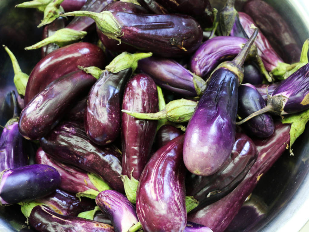 A selection of eggplant for sale at the Tavua Municipal Market in Fiji.