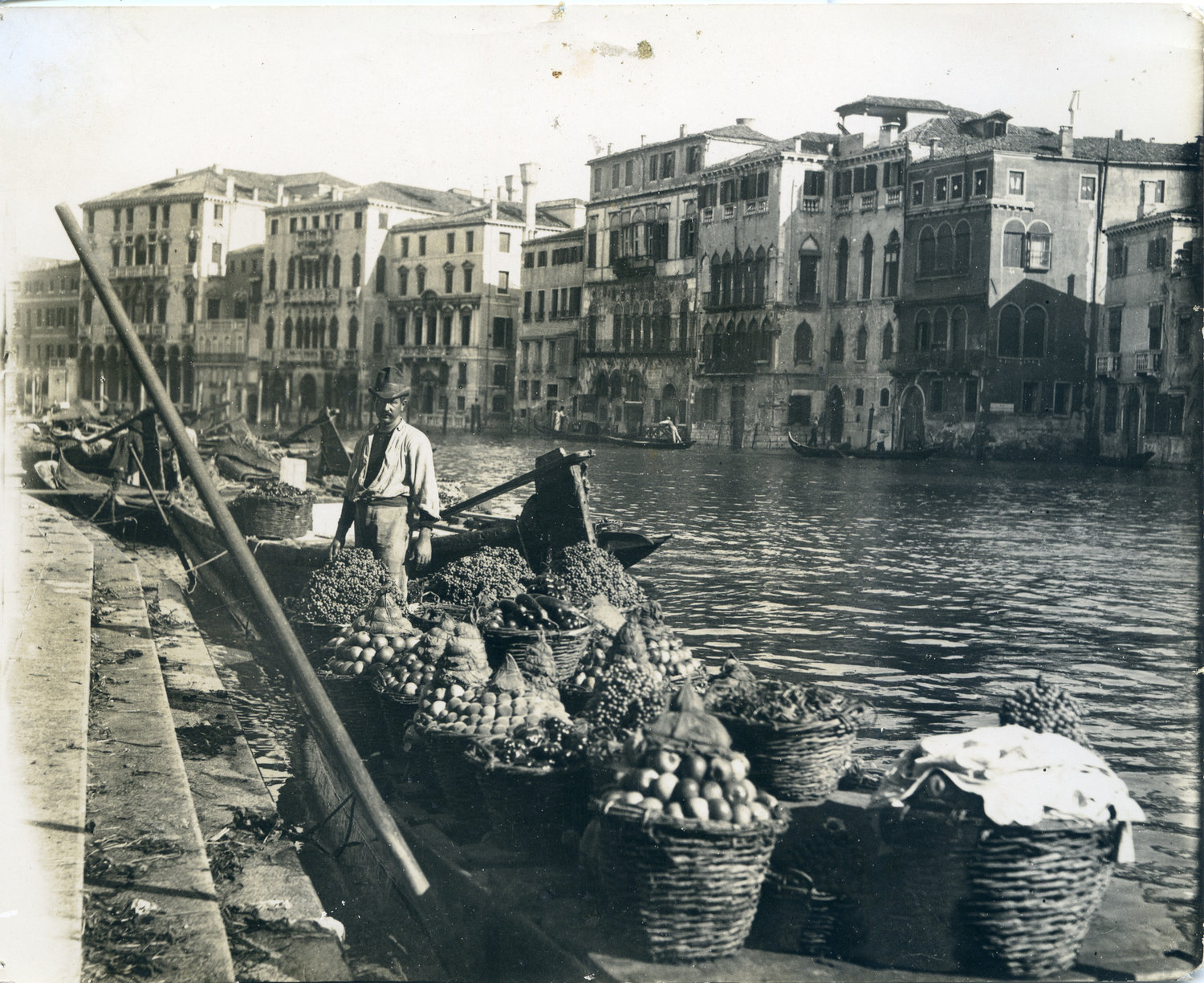 While visiting the grand canal of Venice in 1898, Fairchild photographed the fresh fruits and vegetables that were the earlier conquests of European plant explorers who brought them back from the New World. Items like tomatoes, onions, and squashes, like those pictured here, became central ingredients in Italian cooking.