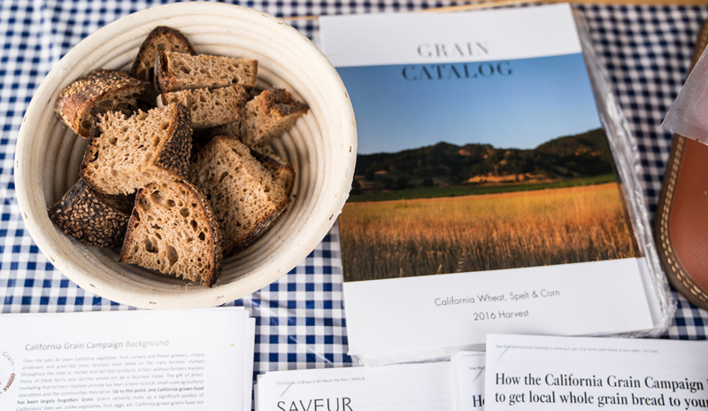 The California Grain Campaign catalogue with Mai Nguyen’s grains in bread.
