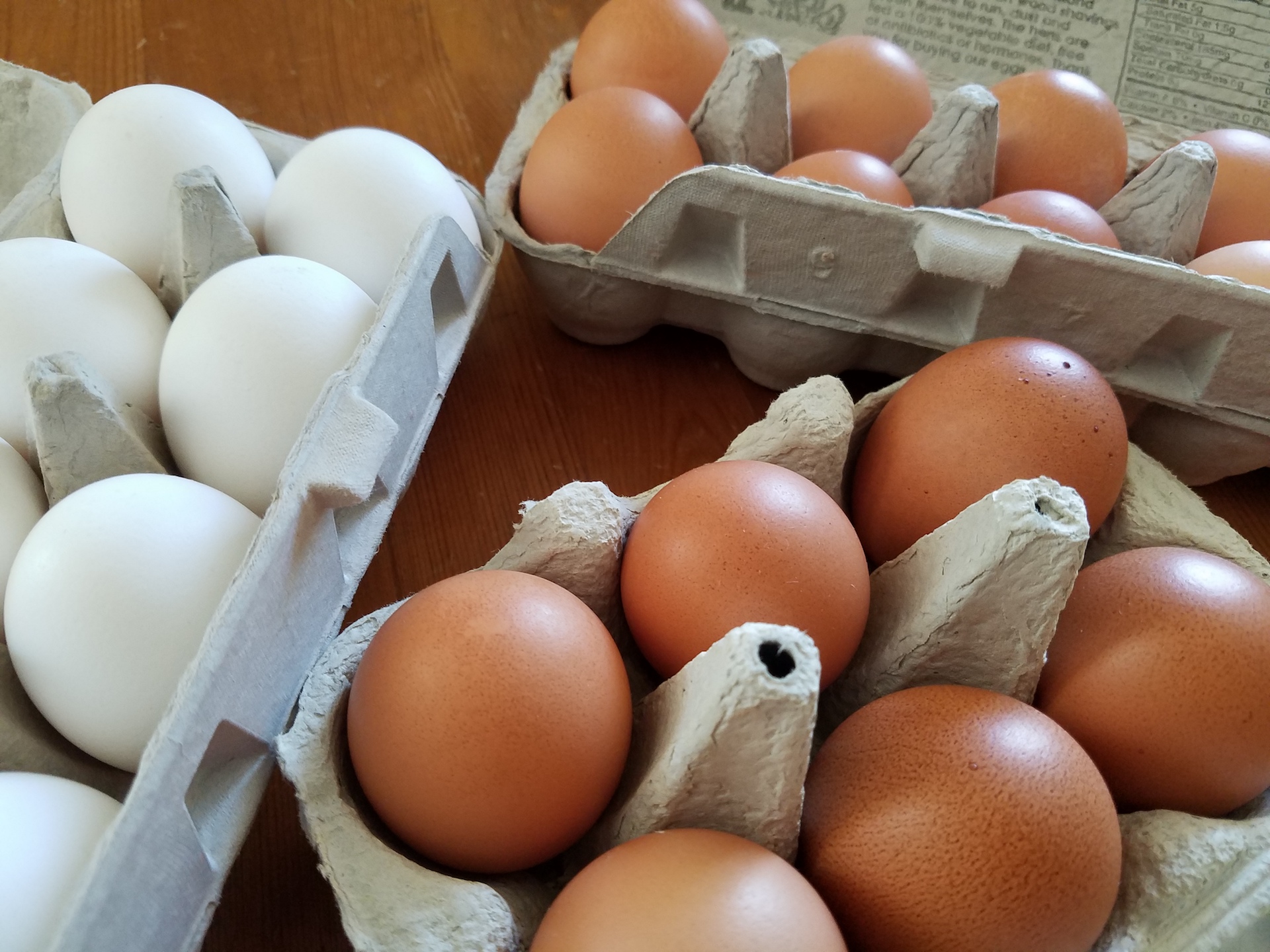 Eggs from Uncle Eddie's, Judy's Family Farm, and Rock Island.