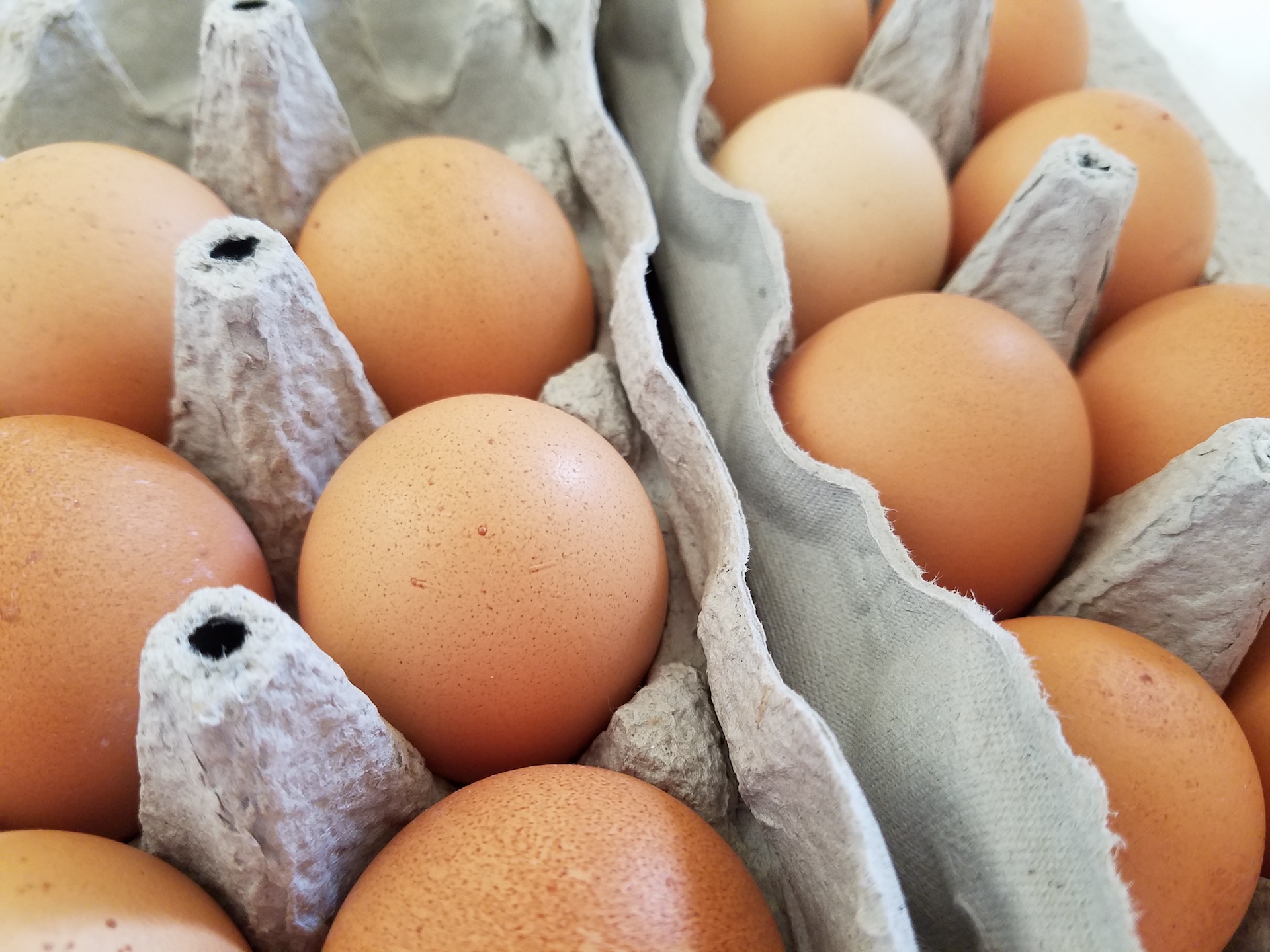 Clover's organic and organic Omega-3 eggs.