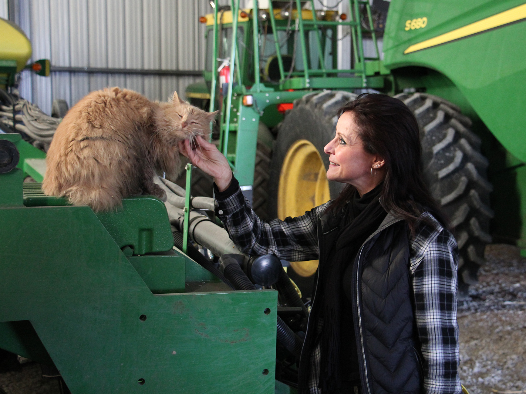 Deb Gangwish with Farley, a cat that once stowed away in a truckload of hay and made it all the way from Nebraska to Illinois and back.
