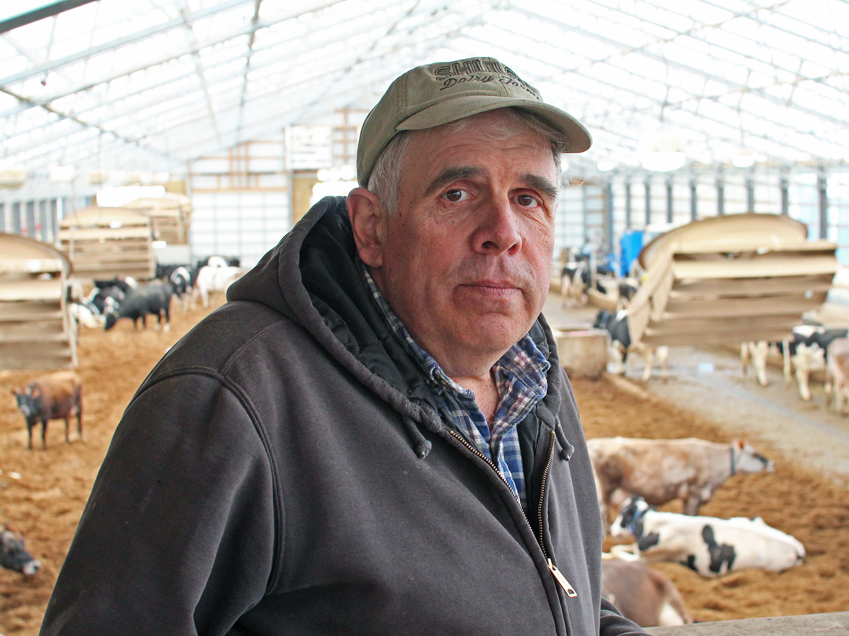 Bill Schuler stands in front of his cows on his farm in southwest Michigan.
