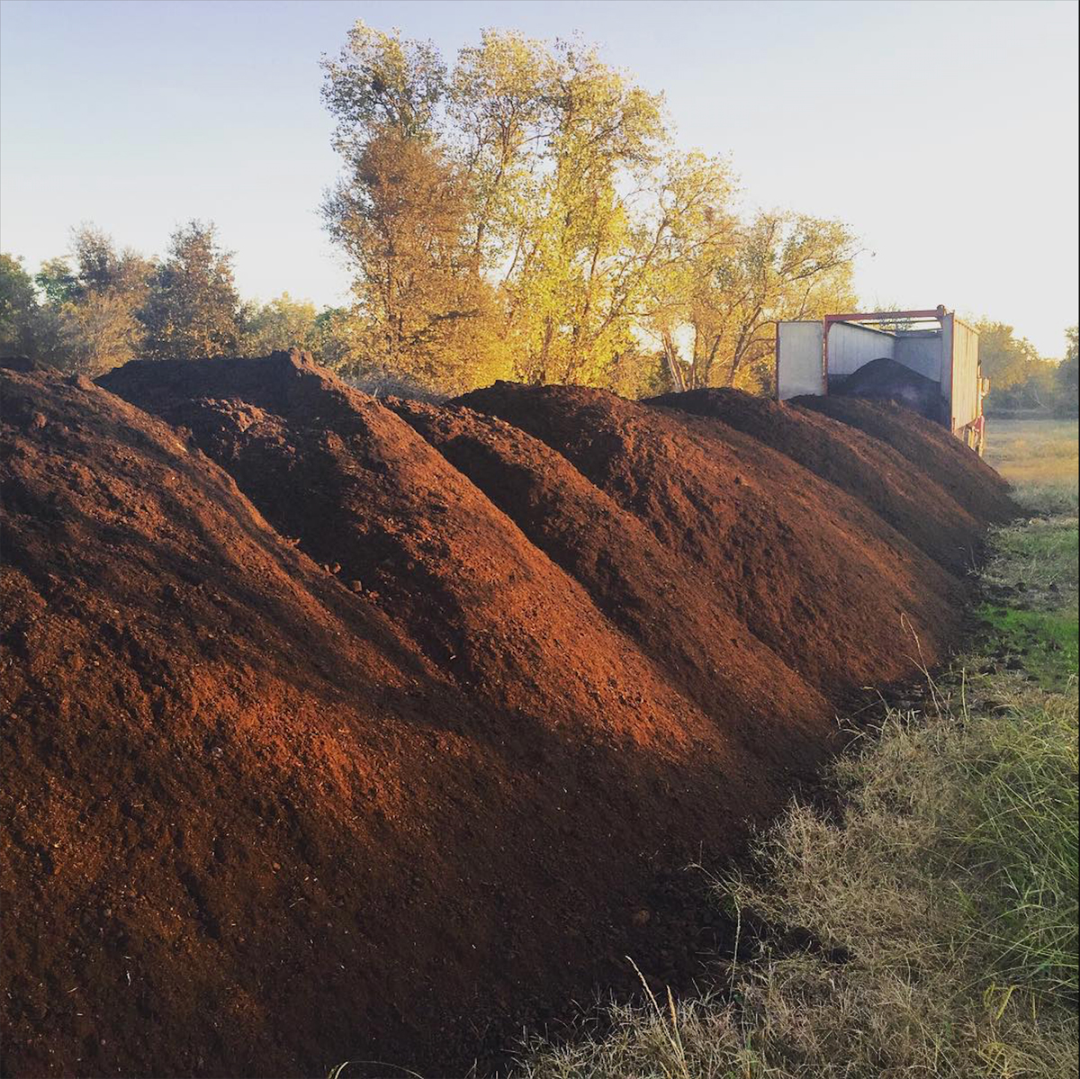 150 tons of compost to be spread on the Massa almond orchards.