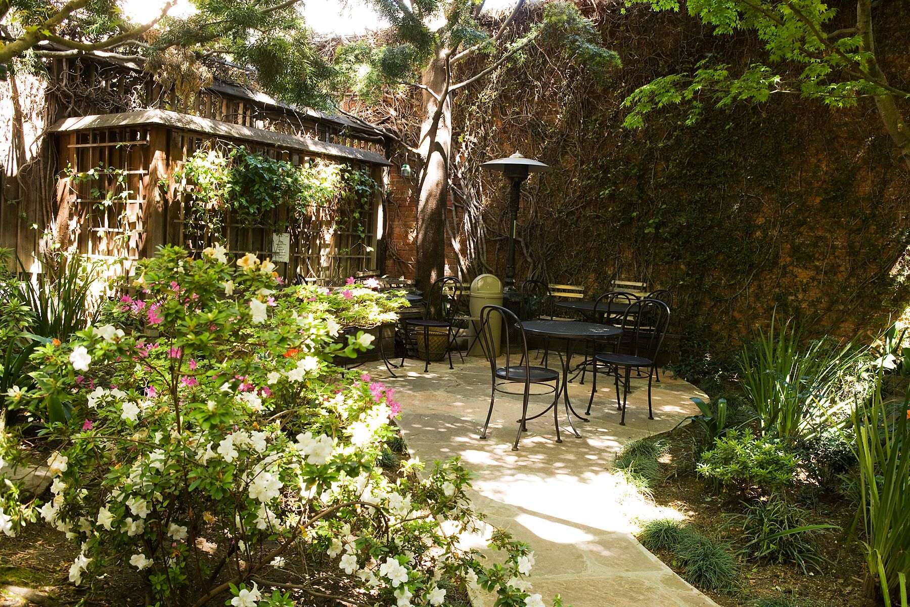 The dreamy patio behind Arlequin.