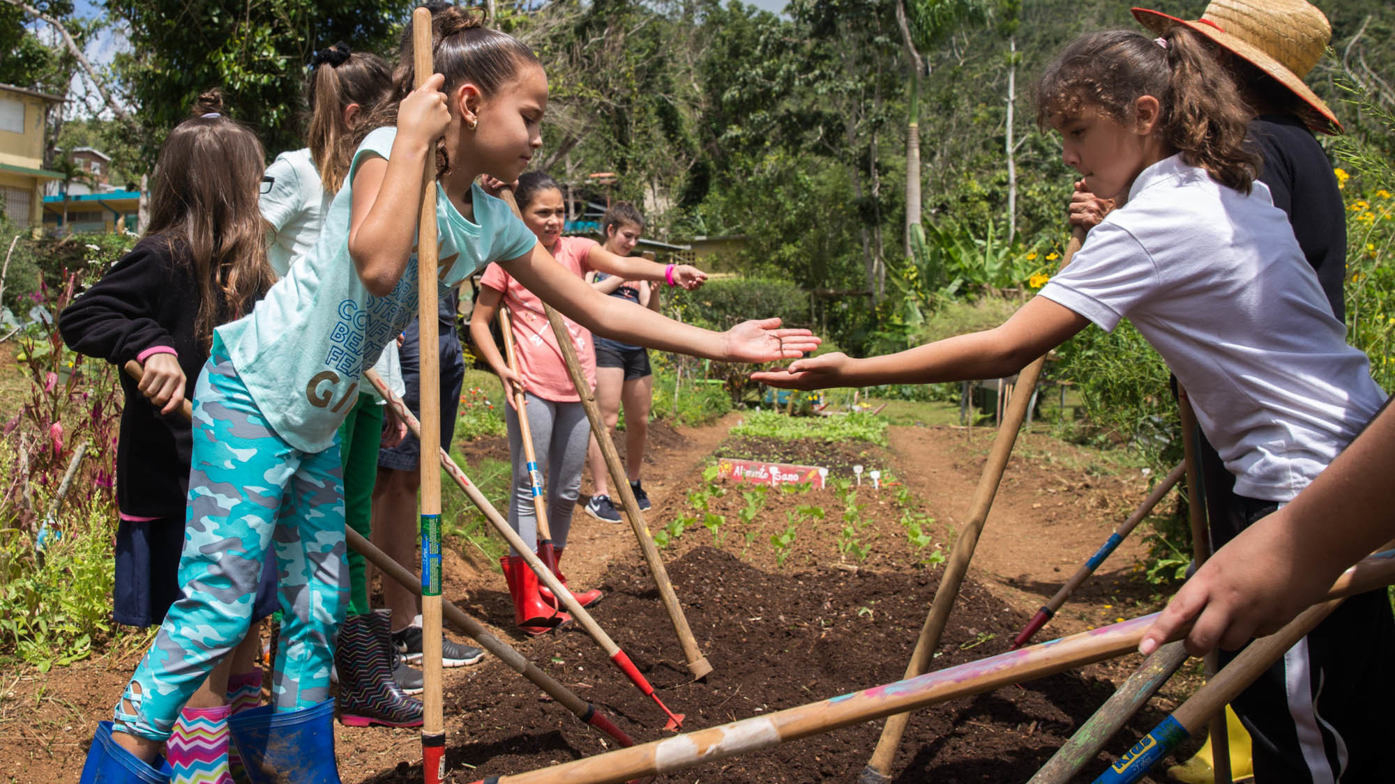 At Botijas Secondary School No. 1, students work with hoes to ready new beds for planting while chanting in Spanish, "Up and down, we prepare the earth."