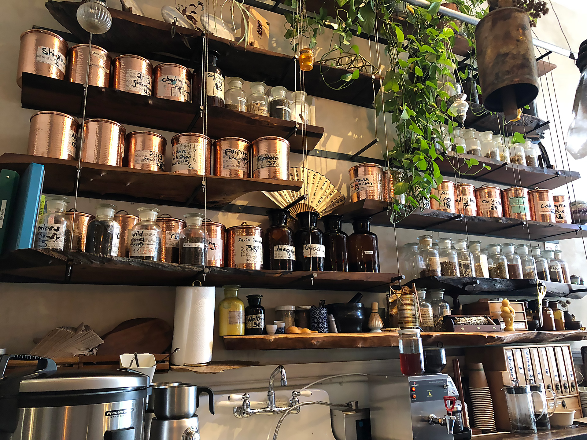 The shelves at Beloved Café are lined with herbs, teas and elixirs.